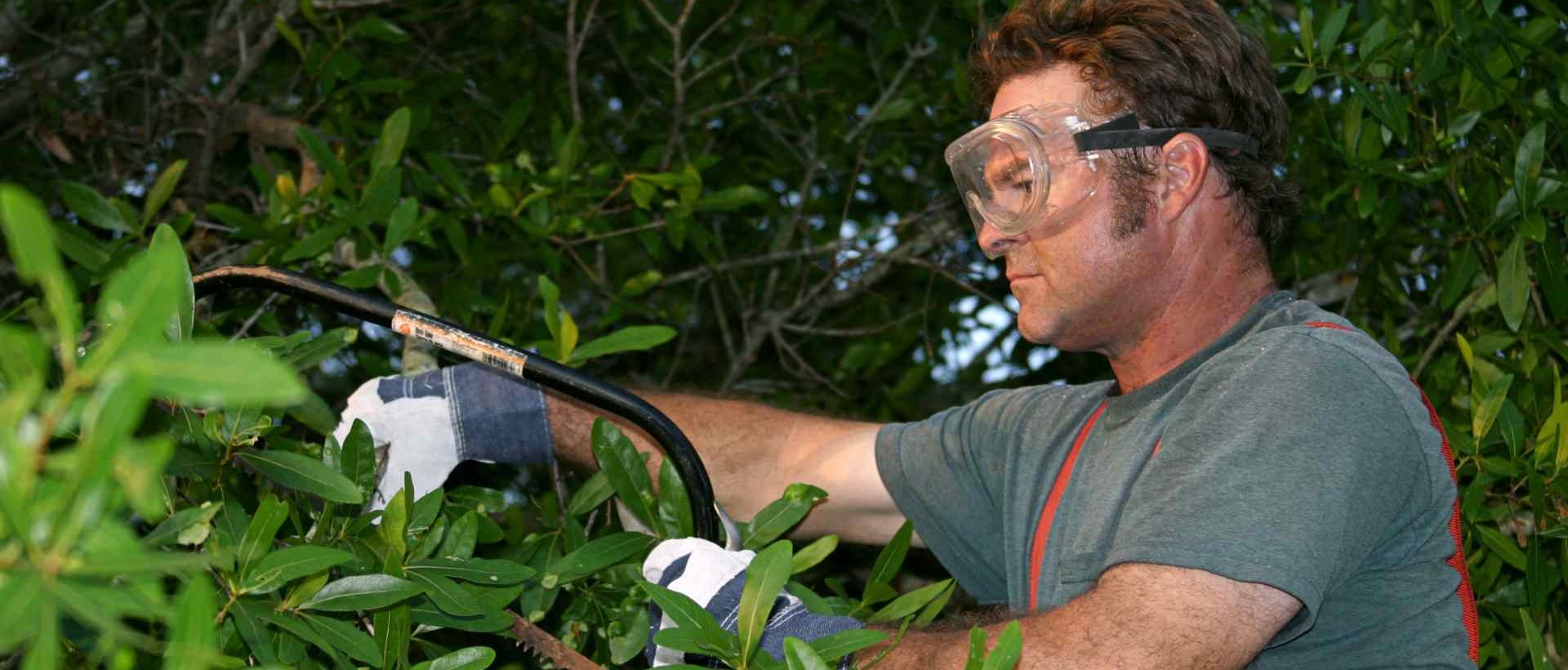 garden clearance E3